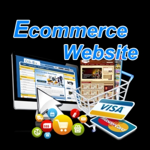 ecommerce website design faridabad