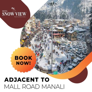 Manali Hotel Price | Hotel Snow View Manali