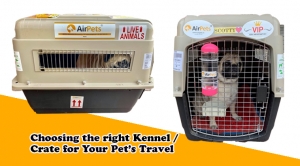Choosing the Right Kennel/Crate for Your Pet’s Travel