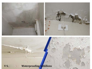 Internal Wall Dampness Water Proofing Service