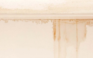 Internal wall Dampness waterproofing Solutions