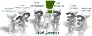 Desire Web World company provide services in affordable rate