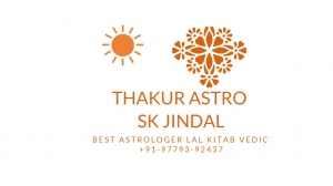 Best astrologer Jindal Lal Kitab Vedic+91-9779392437