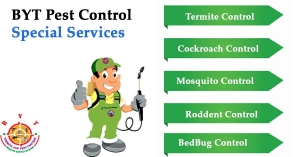 Pest Conttrol Service in Hyderabad