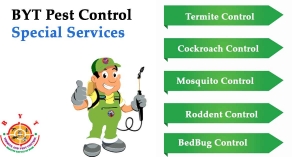 Pest Conttrol Service in Hyderabad
