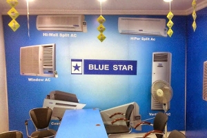 Best Bluestar Dealer in Delhi