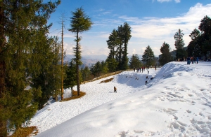 Book your round trip cab service in Shimla
