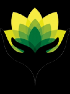 Caregiver Script 2.51