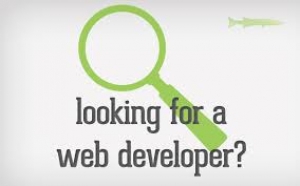 Professional website development & E-commerce website design