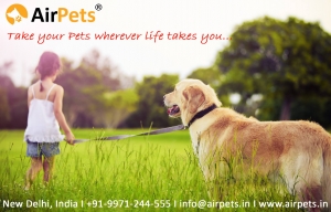 Pet Transport Service in Mumbai