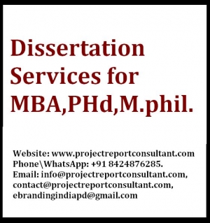projectreportconsultant.com Provides The Best Dissertation S