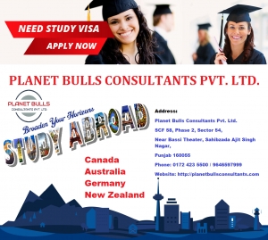 Best Visa Consultants In Mohali