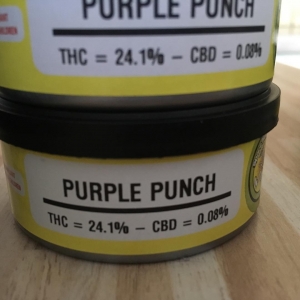 buy Space Monkey Meds Purple Punch at darkmarkete.com