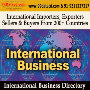 International B2B Companies Directory in Excel Format