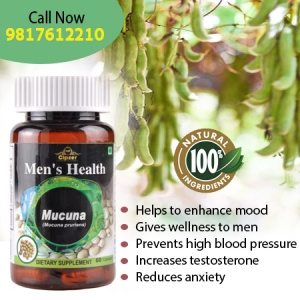 Mucuna Capsules increase the level of dopamine in the body &