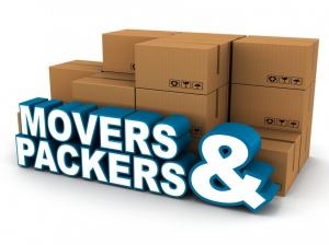 Packers and Movers in Hamirpur| 9855528177 |Movers & Packers