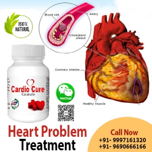 Maintain Heart Health and Function