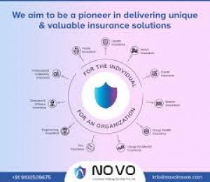 Insurance Consulting Services | Novo insurance
