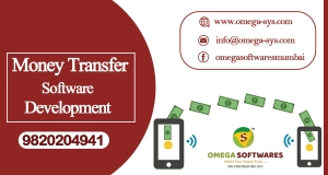 Best Money Transfer software development company in Nashik