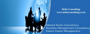 Delta Consulting- Study Abroad, Business Management, Export 
