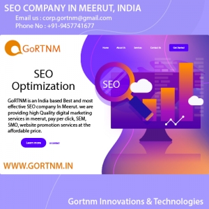 SEO Company In Meerut