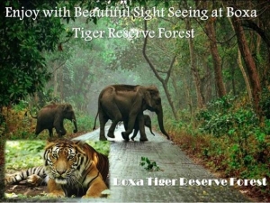 Enjoy with Beautiful Sight Seeing at Buxa Tiger Reserve Fore