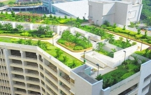 Terrace Garden – Terrace Garden Ideas – Roof Garden
