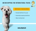 Microchipping Your Pets for International Travel