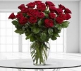 OyeGifts - Same Day Delivery Flowers Indore