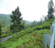 One of Its Kind Residential Plot for sale in Coonoor