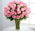 OyeGifts - Same Day Delivery Flowers Hyderabad