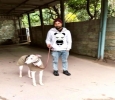 Best Pet Boarding Service in Delhi, India