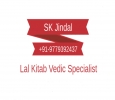 Astrologer Lal Kitab Vedic horoscope+91-9779392437