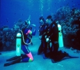 Are you are looking for the Scuba Diving Ride in Goa?