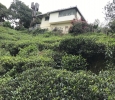 House for Sale in Coonoor with Fascinating Views