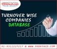 Companies Database Turnoverwise - 91-9311227211