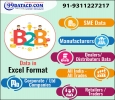 B2B Database Provider - 91-99311227217