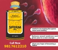 Cipzer Sperm Pro Caplet is useful in increasing sperm count 