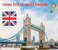 Taking Pets to United Kingdom