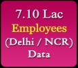 Delhi NCR (Noida, Gurgaon & Faridabad) Employees Database 